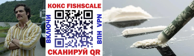 КОКАИН Fish Scale  Купить  Медынь 