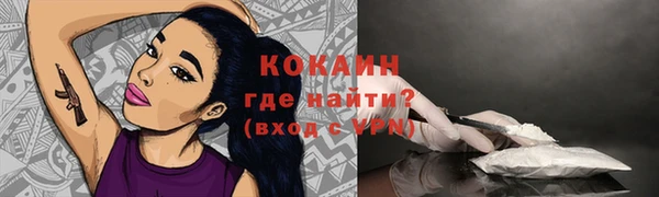 шишки Белоозёрский