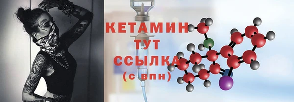 шишки Белоозёрский