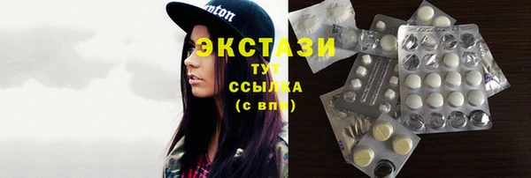крисы Богородицк