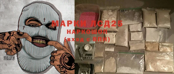 шишки Белоозёрский